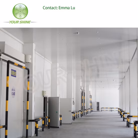 Painel sanduíche de favo de mel de polipropileno termoplástico para refrigerador de ar ambiente